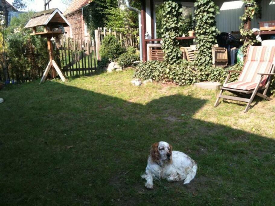 2 Bedroom Beautyful Vacation Home / Ferienhaus Brunsberg Buchholz in der Nordheide Exterior foto